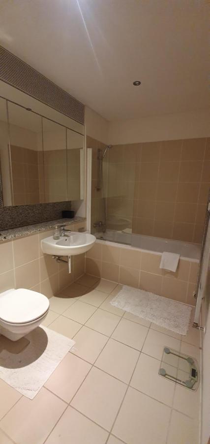 Central Prime King Size Apartment ダブリン エクステリア 写真